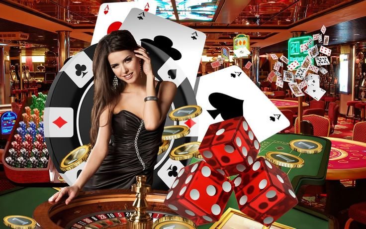 8855bet login